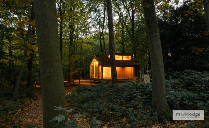 Une tiny house en bois en pleine nature